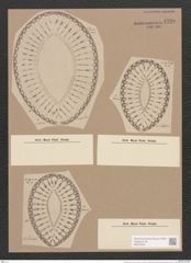 Surirella lentis A. Schm. (de-Toni-Nr.: Genus 53, Species 2384) Zeichnungen Sammlung Grunow Nr. 4790 (NHMW-BOT-W0372930)